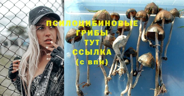 ECSTASY Арсеньев