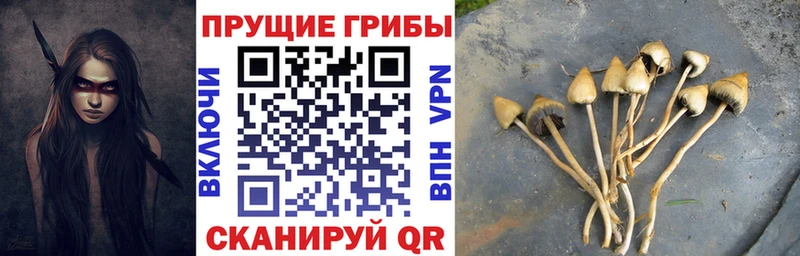 Псилоцибиновые грибы MAGIC MUSHROOMS  Олонец 
